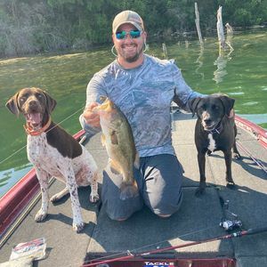 Meet your Posher, Tanner